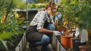 5 Reasons Plants Are Good for Your Health