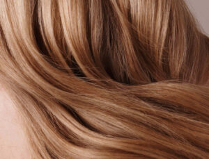 Healthy Hair Inside Out with Wellnesse Hair Care
