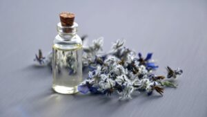 Beginner's Guide to Essential Oils