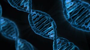 The Impact Of Nutri Stat Biomarkers