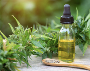 Unlocking the Potential of CBD Hemp Oil: Nurturing Your Health and Vitality