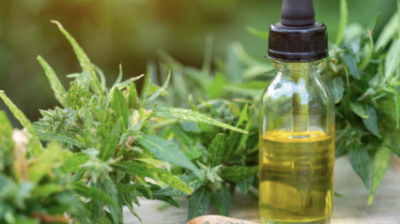 Unlocking the Potential of CBD Hemp Oil: Nurturing Your Health and Vitality