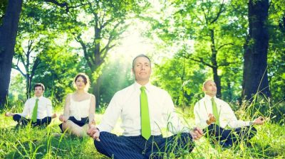 Wellnessforce.com