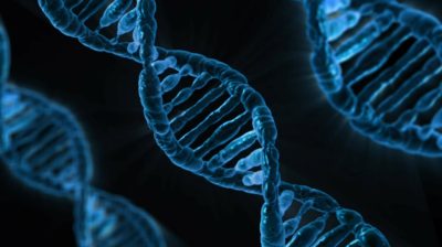 The Impact Of Nutri Stat Biomarkers