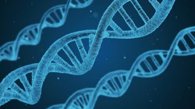 dna-1811955_1280