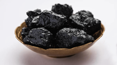 Himalayan Shilajit + Ocean Plasma: A Natural Approach to Health and Wellness