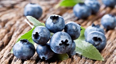 shutterstock_115471474