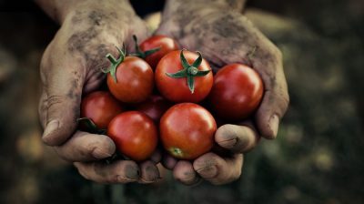 shutterstock_152320880
